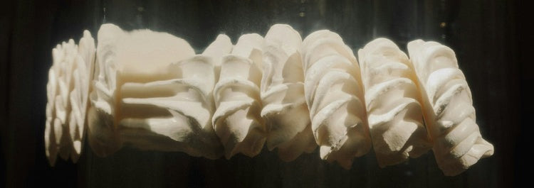 Why We Don't Whip Our Tallow: The Truth About Whipped Tallow Balm